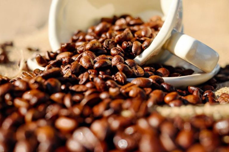 Beroemdheden Professionele koffiemolen voor koffieshop met verstelbare maalinstellingen voor optimale koffiekwaliteit